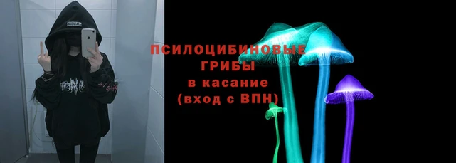 Альфа ПВП Вязьма