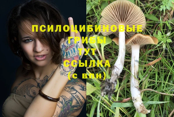 альфа пвп Вяземский