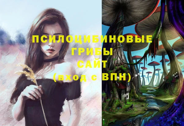 Альфа ПВП Вязьма