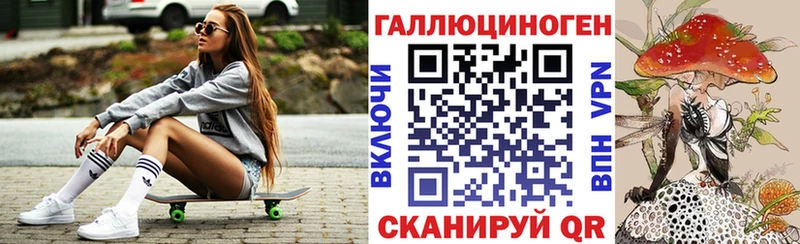 Галлюциногенные грибы Psilocybe  даркнет сайт  Могоча 